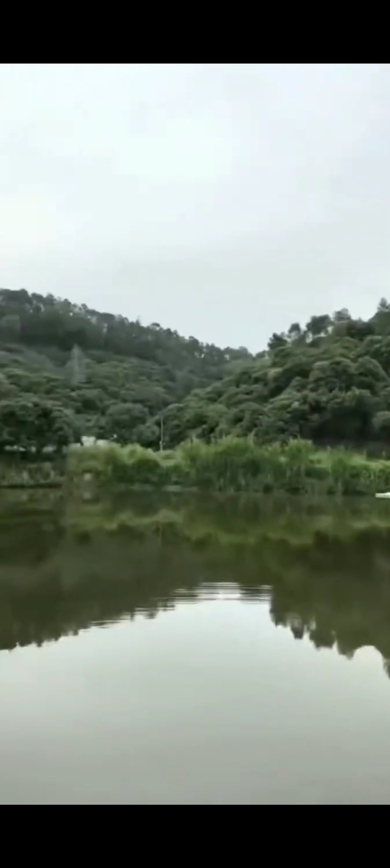 清溪铁松鱼塘出租：总面积约8亩；大鱼塘约4亩；小鱼塘约1