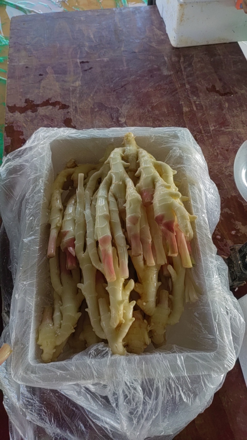 生姜，黄姜，白姜