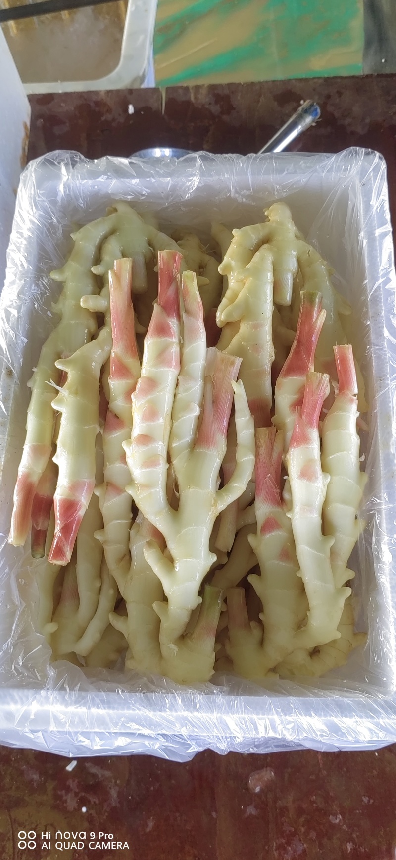 生姜，黄姜，白姜