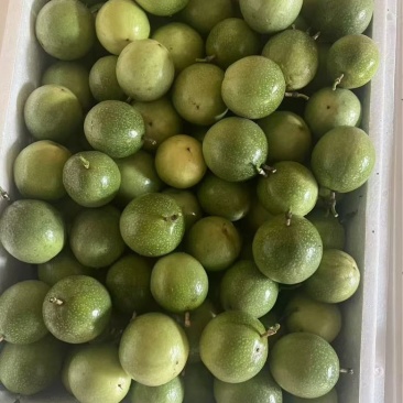 百香果