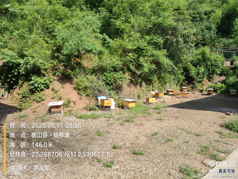 农家土蜂蜜
