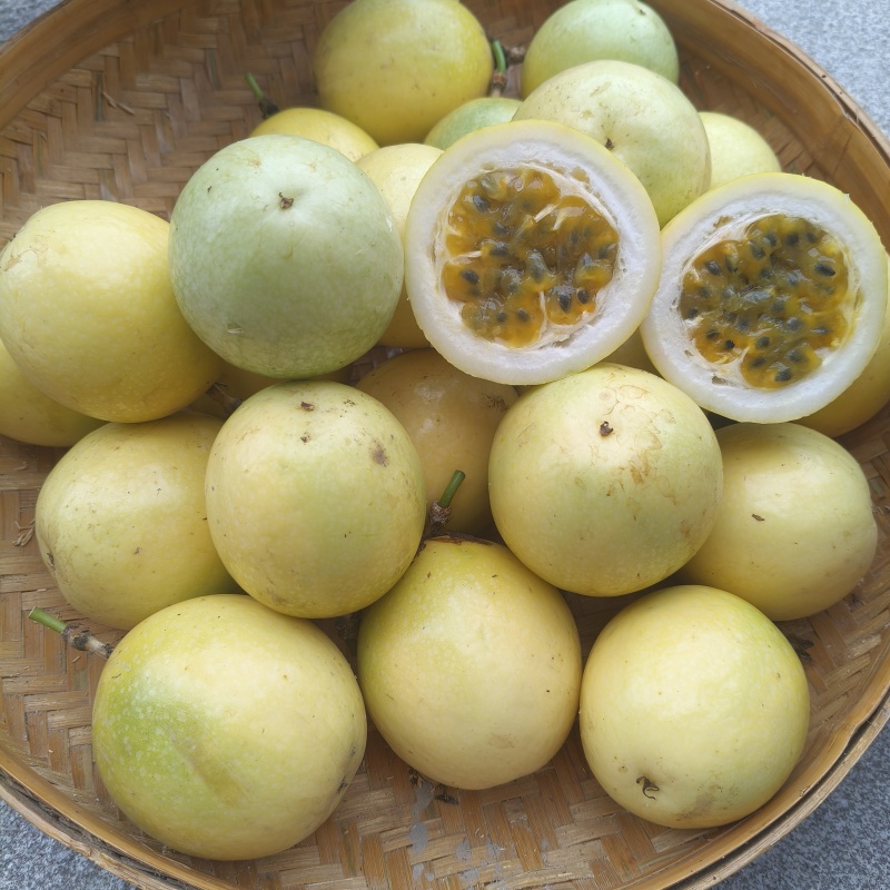 黄金百香果
