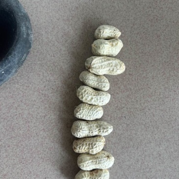 鲜花生，精品洗子花生