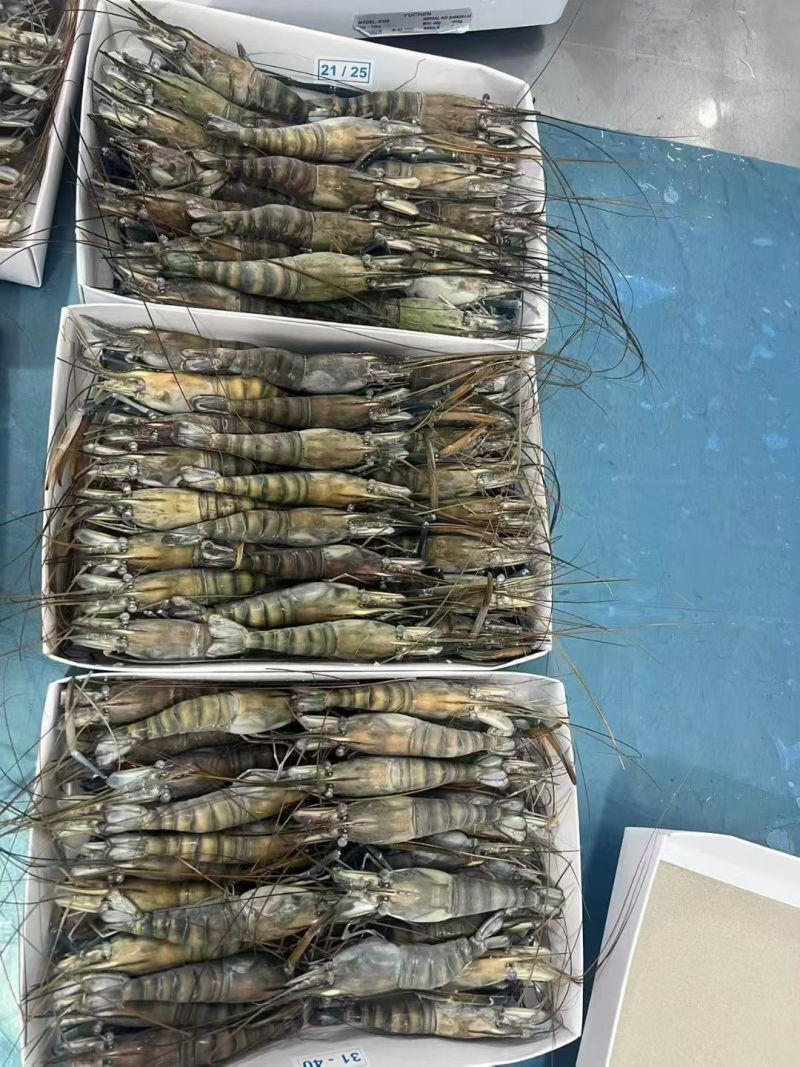 生冻罗氏虾现货净重800g一盒，规格都有