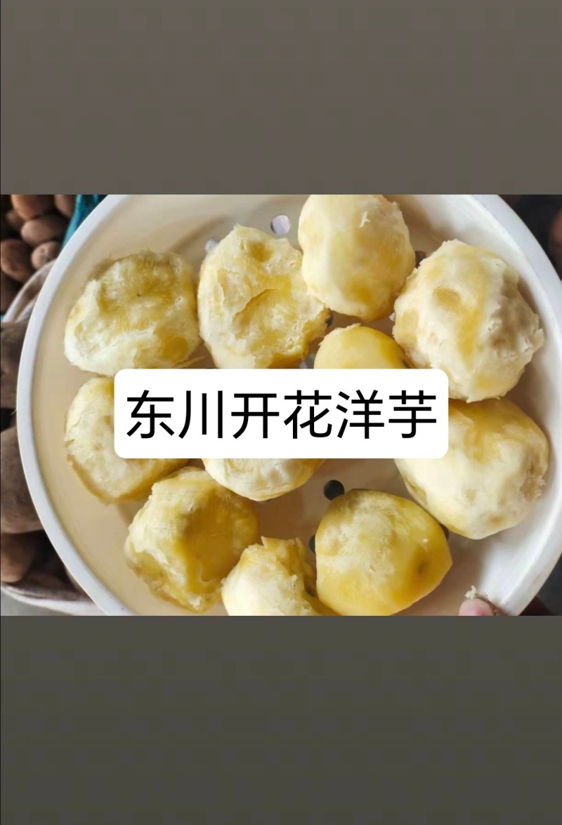 云南省东川区正宗开花洋芋