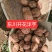 云南省东川区正宗开花洋芋