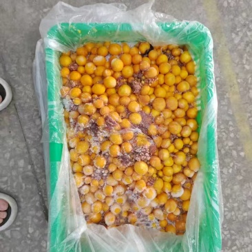 蛋黄鸡6吨