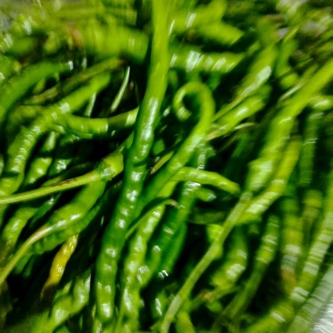 辣椒，现货1.5吨