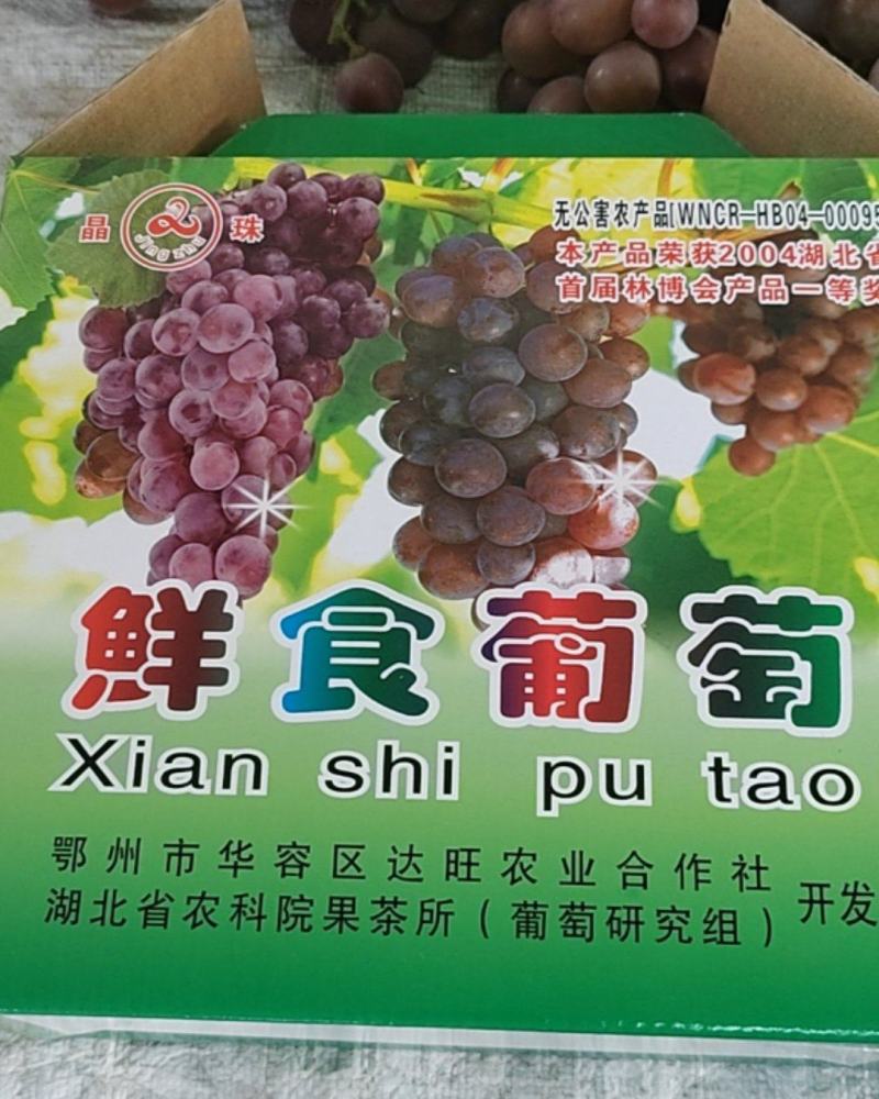 巨峰葡萄