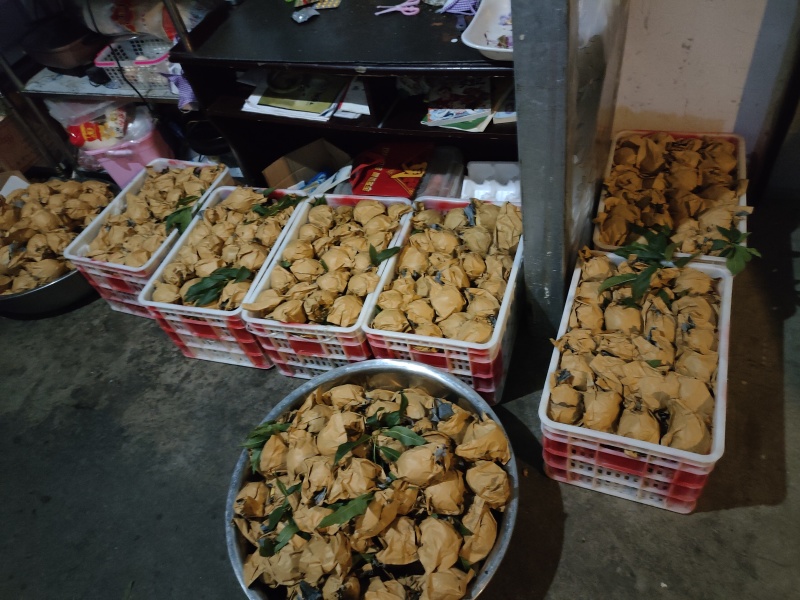 给锦绣黄桃大量出售