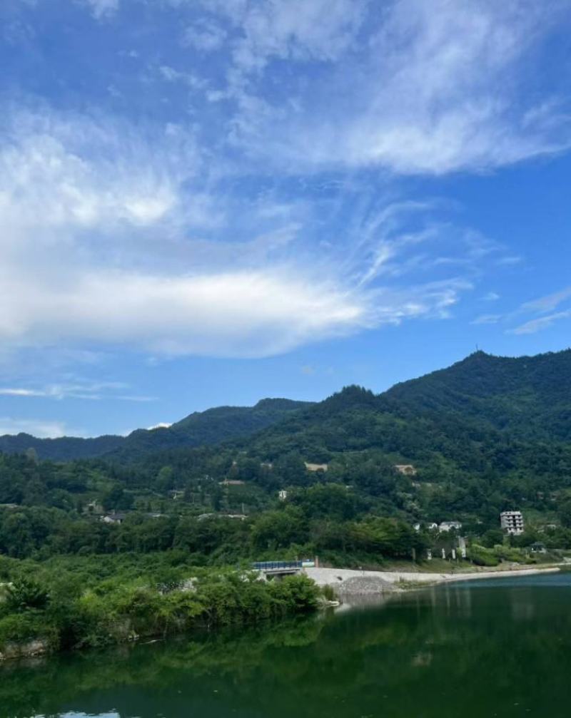 茶叶