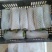 福建南平肉丝瓜