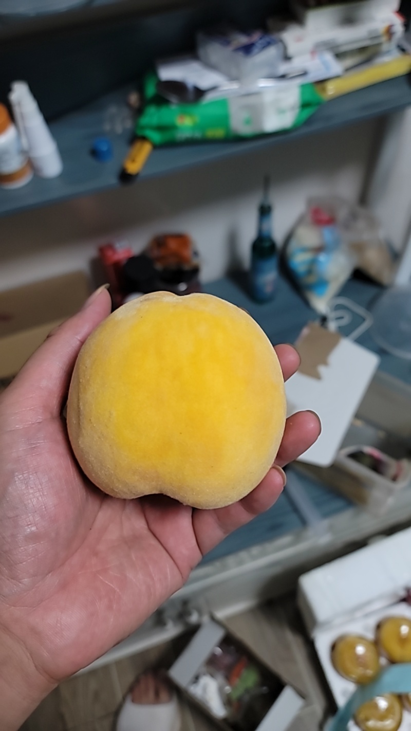 锦绣黄桃大果有1斤以上