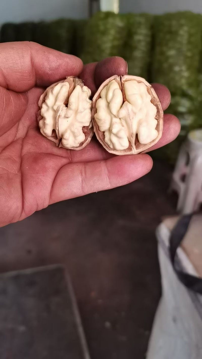 鲜核桃