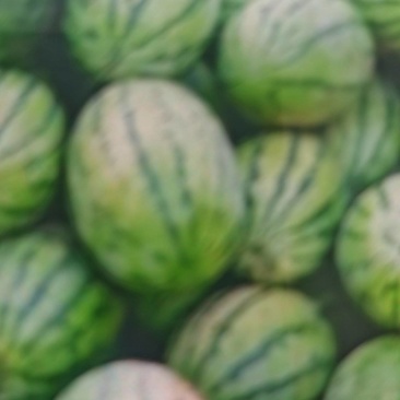 长瓜，西沙六，量大还可以优惠
