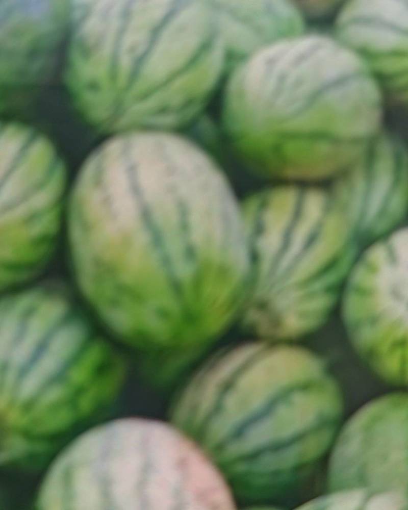 长瓜，西沙六，量大还可以优惠