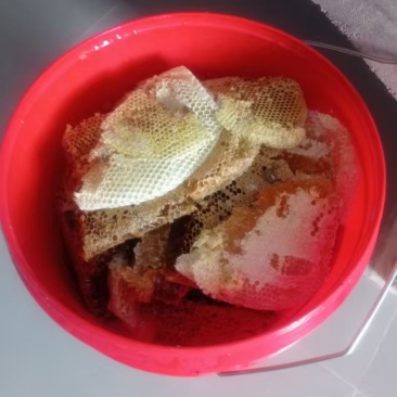 正宗土蜂蜜