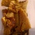大森林自然土蜂蜜