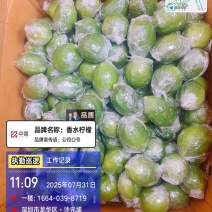 一级果香水柠檬