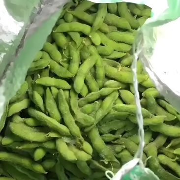 九月寒毛豆