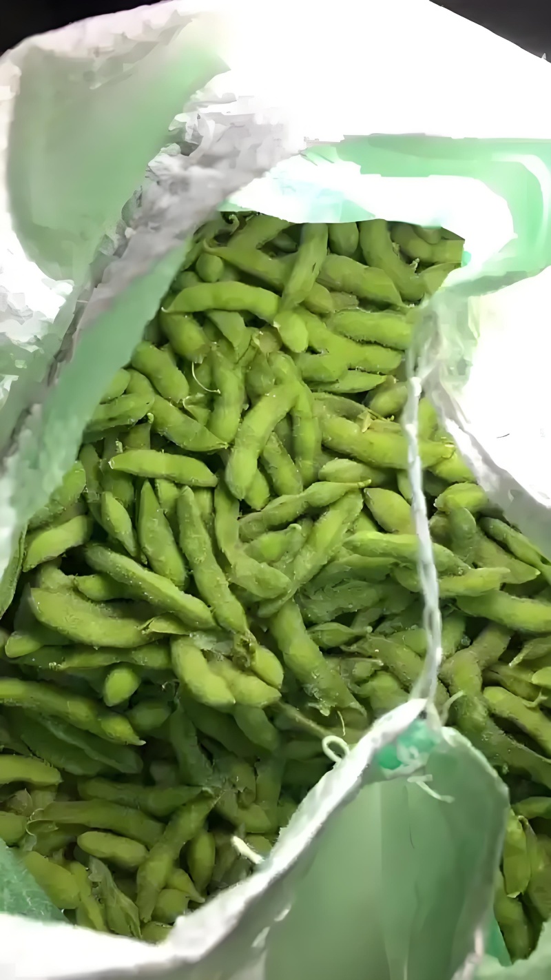 九月寒毛豆