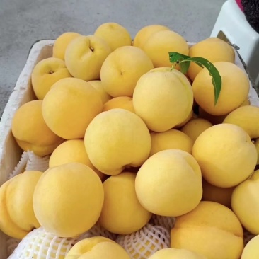 黄桃