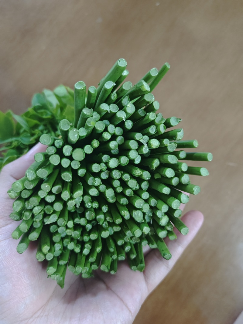 树仔菜