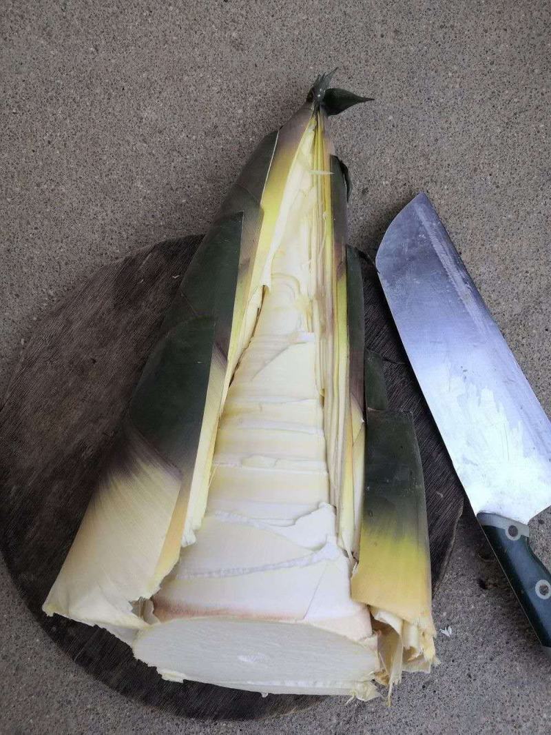 麻竹笋，笋丝笋片笋尖