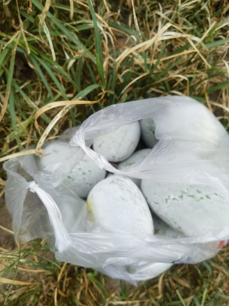 芋香迷你水果冬瓜