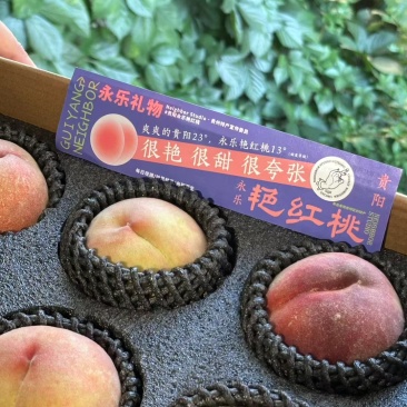 永乐艳红桃