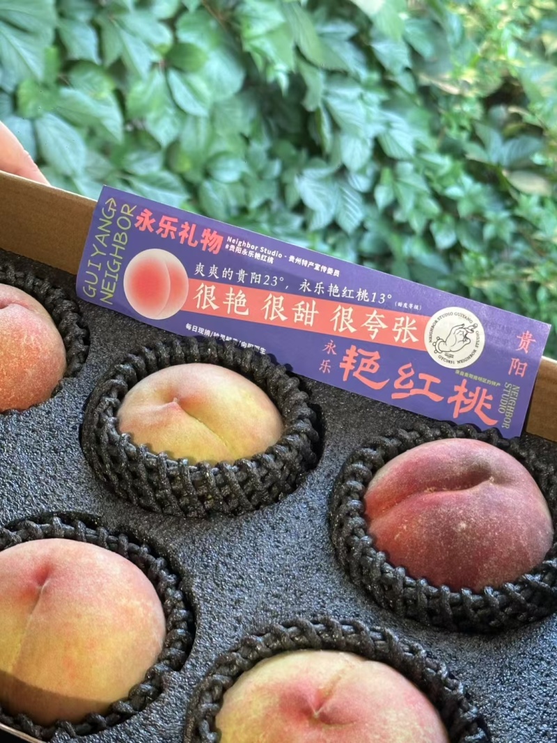 永乐艳红桃