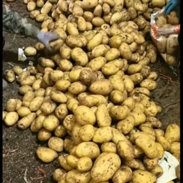 沃土加冷库货大量现货供应