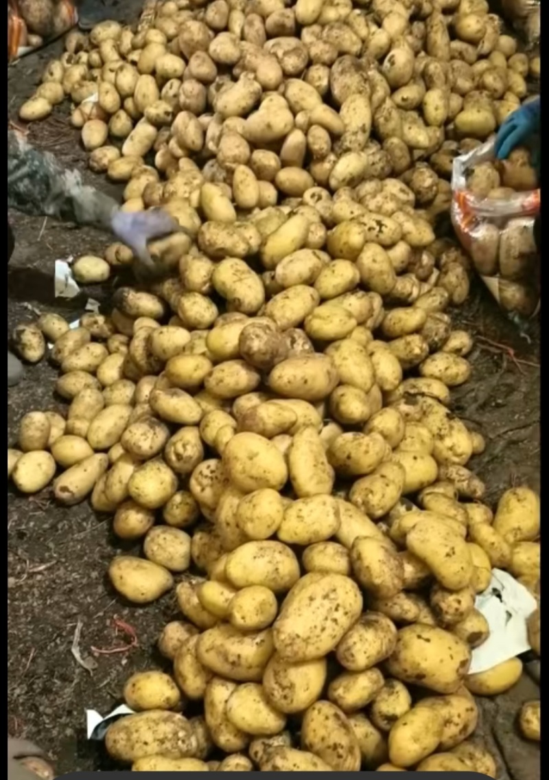 沃土加冷库货大量现货供应
