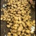 沃土加冷库货大量现货供应