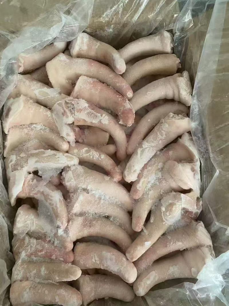 猪尾巴