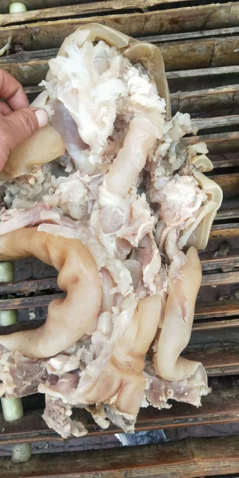 熟牛蹄！好多店都在用网红产品，价格实惠，特色菜好原料腾惠