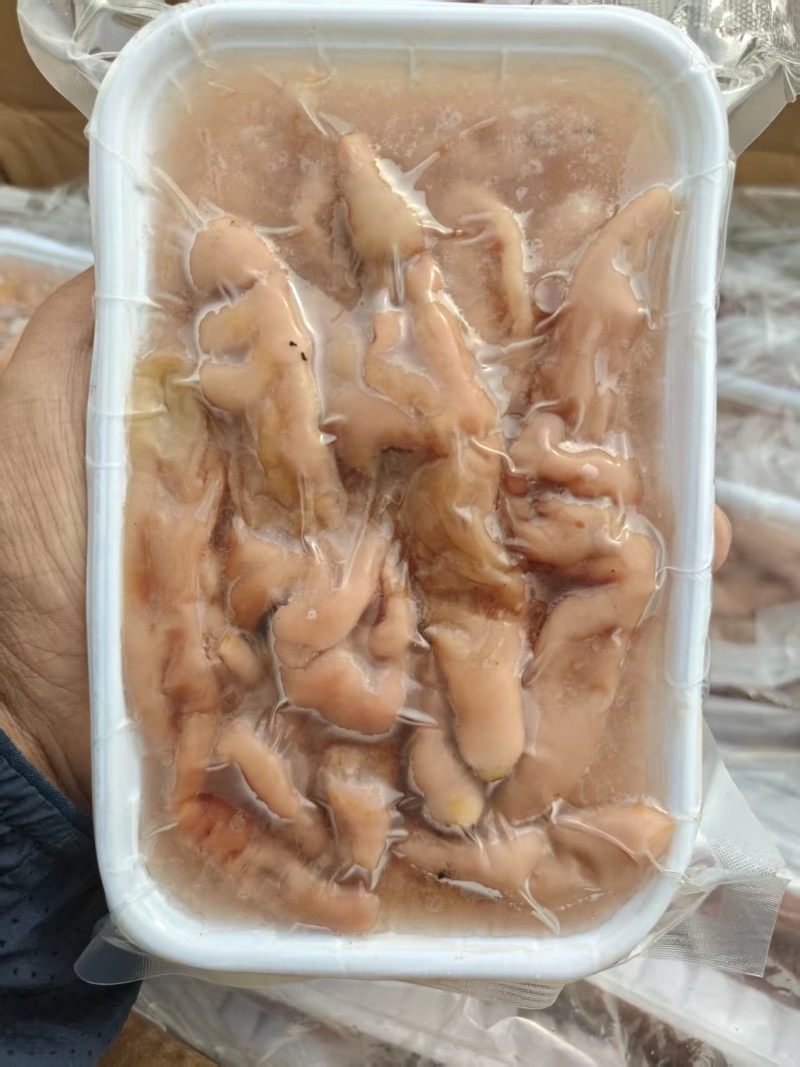 海肠到货，品质高