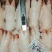 35-40个小猪蹄到货咯熟食店必备引流产品原材料才刚七