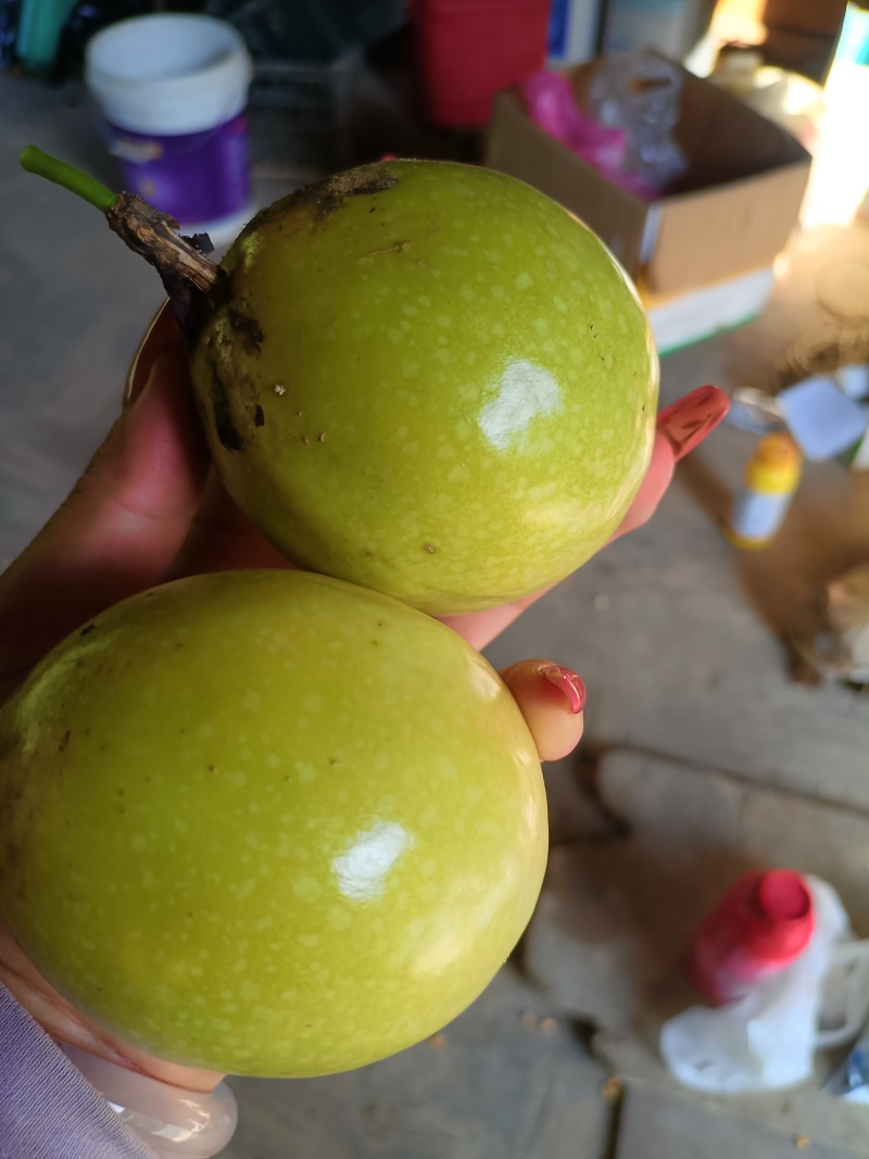 百香果