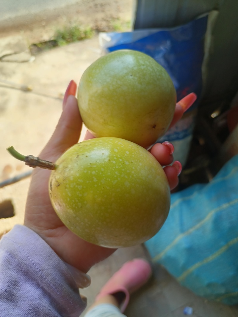百香果