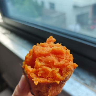 红薯，地瓜