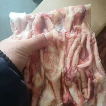 鸭掌有货