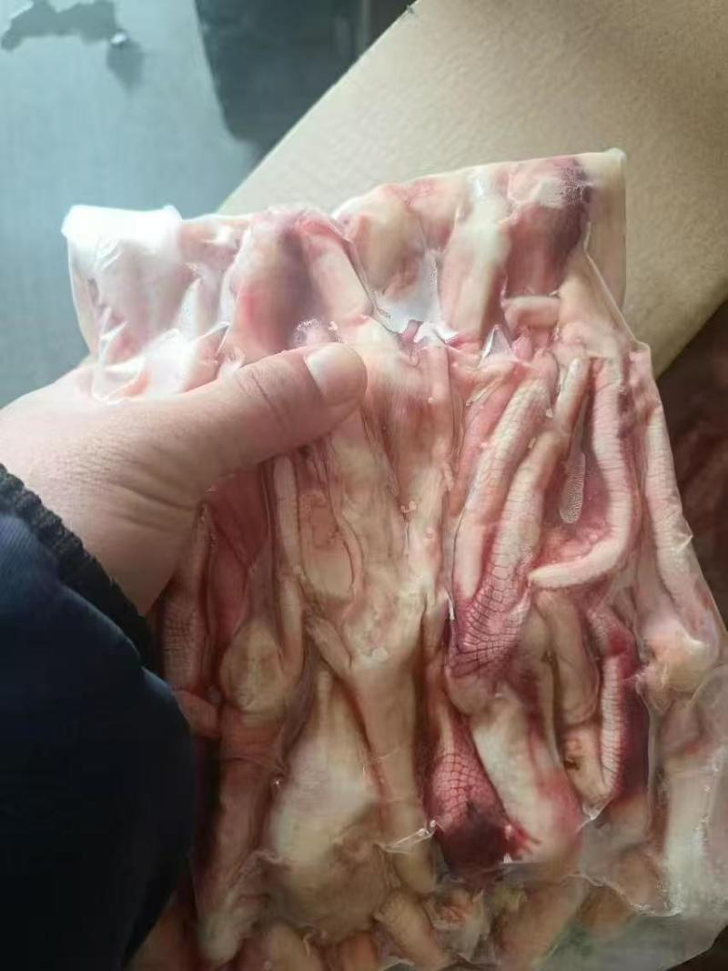 鸭掌有货