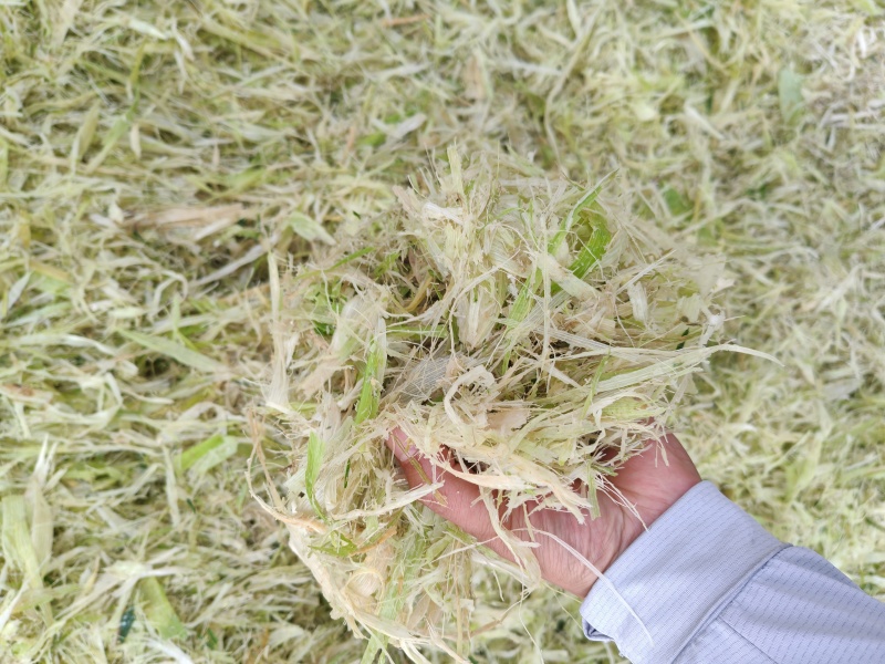 养殖青储饲料