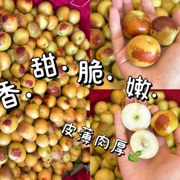 大荔冬枣