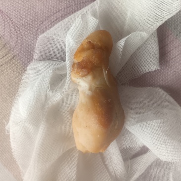 鸡宝