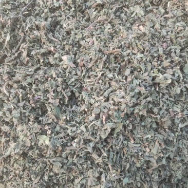 薄荷切片