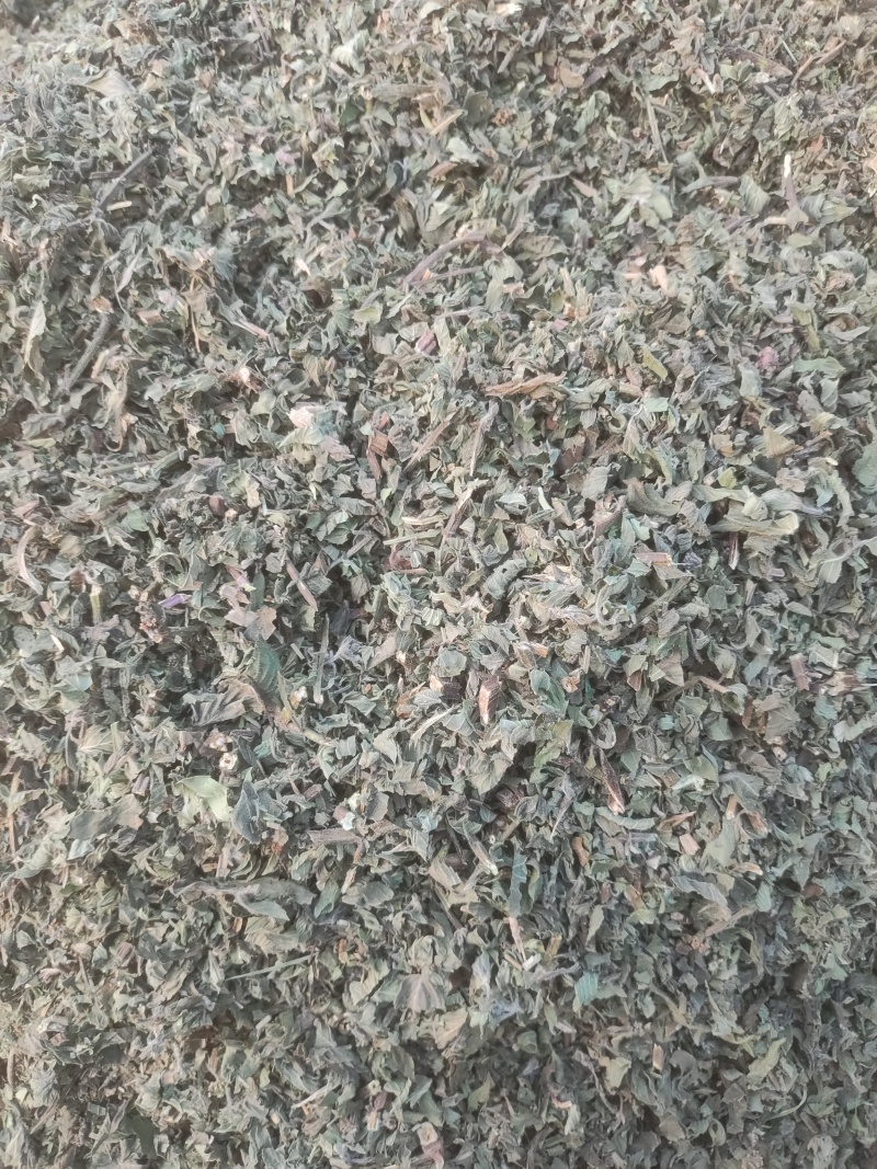 薄荷切片
