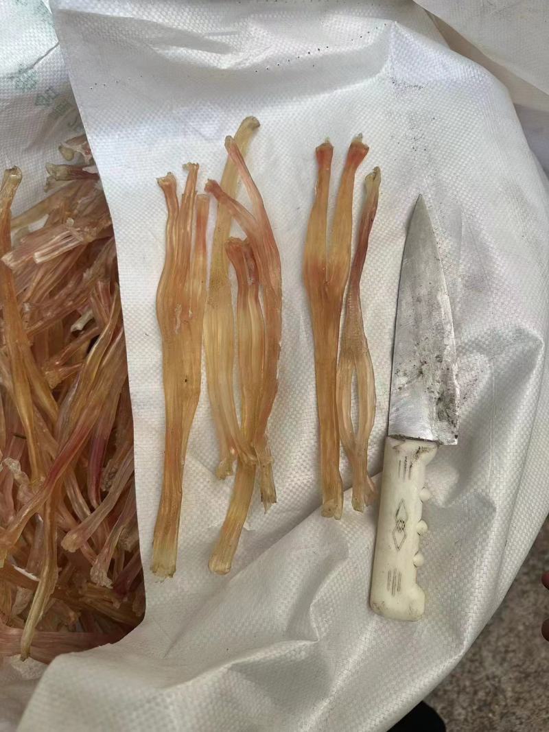 烘干牛副产品