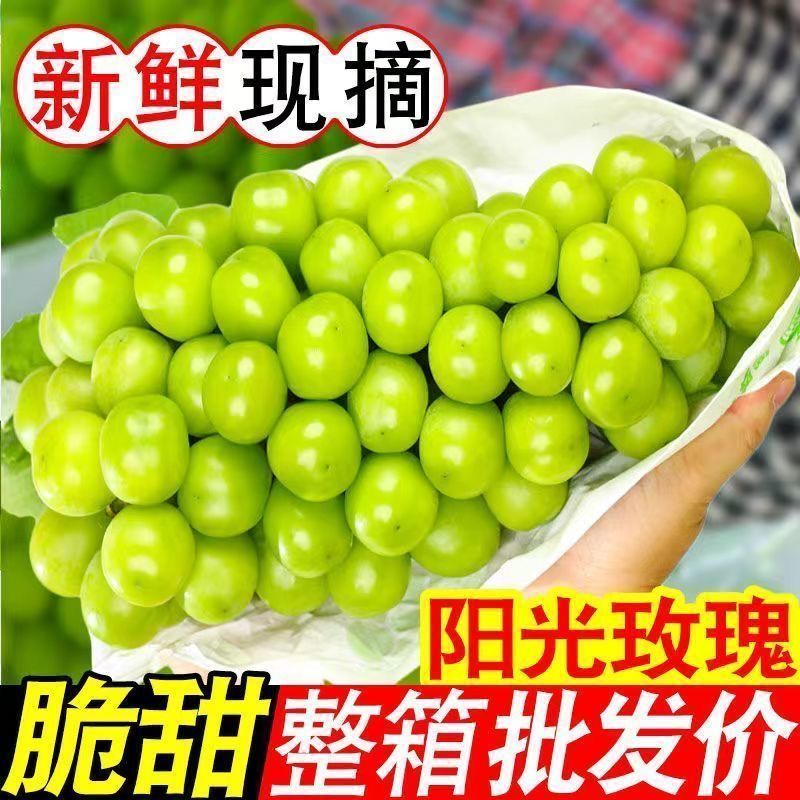 葡萄